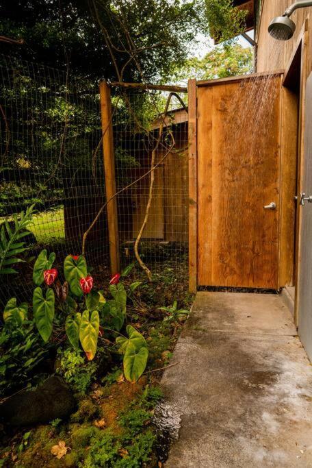 Jungle Haven Ocean Front Eco Villa On Fruit Farm Pahoa Exteriér fotografie