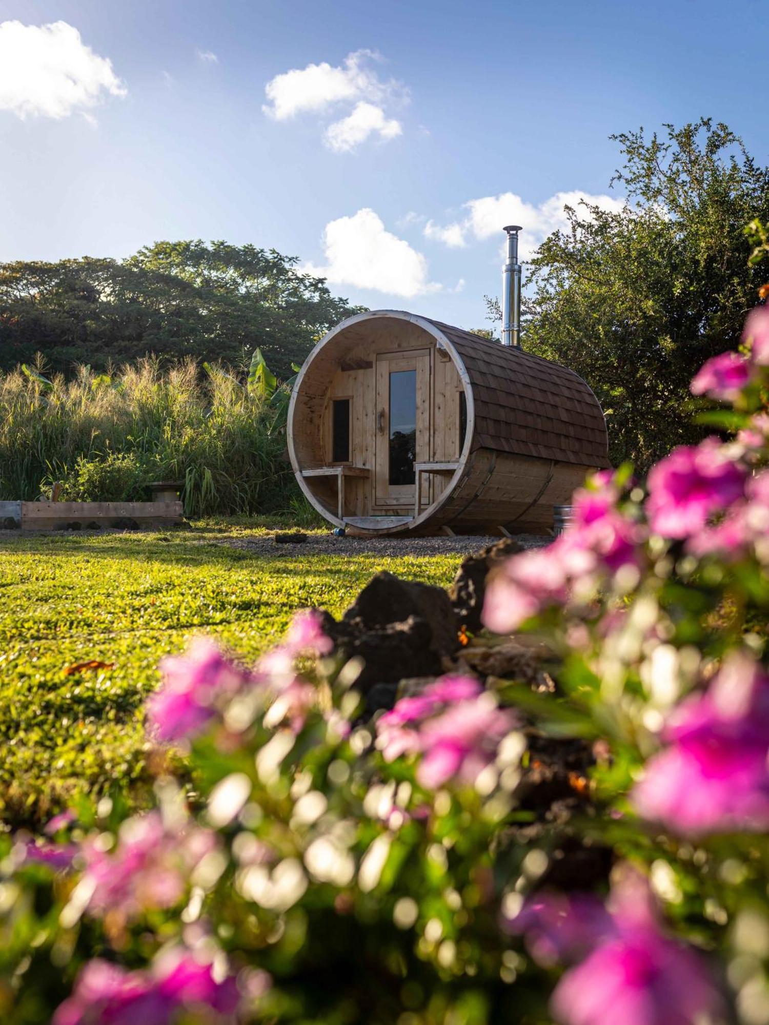 Jungle Haven Ocean Front Eco Villa On Fruit Farm Pahoa Exteriér fotografie